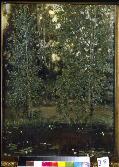 Stagno ad Akhtyrka (o Okhtyrka, Ucraina) da Victor Mikhailovich Vasnetsov