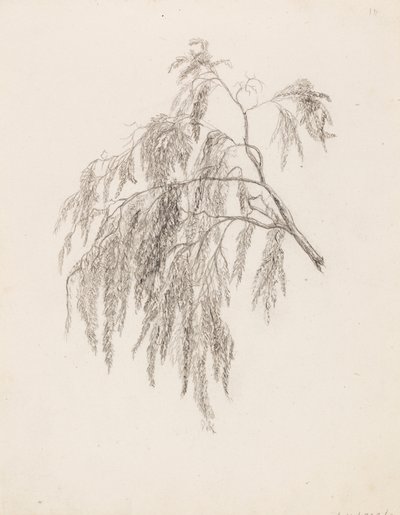 Branch da Victoria Åberg