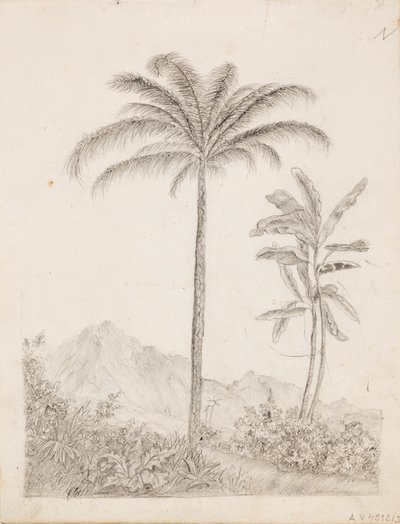 Palme da Victoria Åberg
