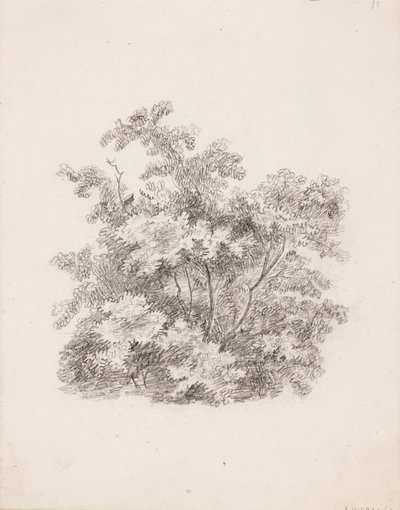 Arbusti da Victoria Åberg