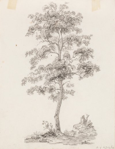 Albero da Victoria Åberg