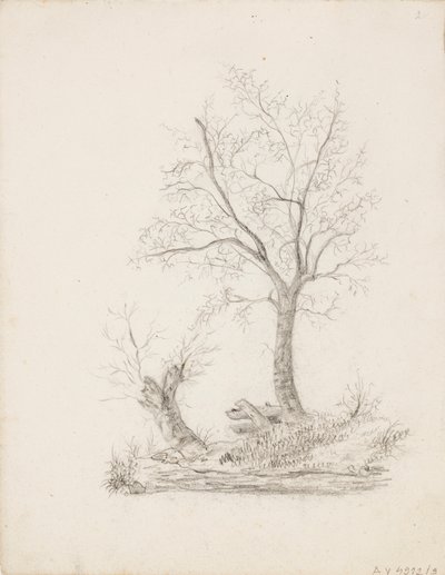 Alberi da Victoria Åberg