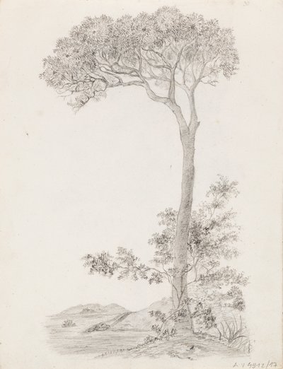 Alberi da Victoria Åberg