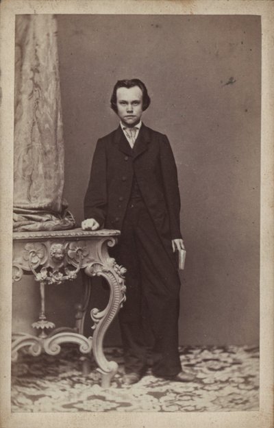 Ritratto del compositore Anton Rubinstein 1829-1894 da Vienna . Photo studio Franz Schultz