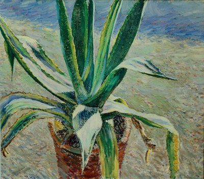 Agave da Viktor Elpidiforovich Borisov Musatov