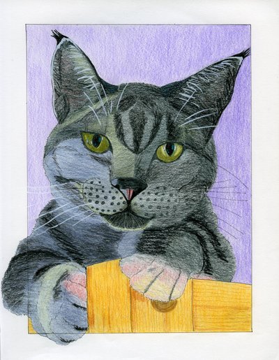 Il gatto grigio curioso sbircia da Viktoriia Saunina
