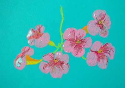 Disegno floreale rosa da Viktoriia Saunina