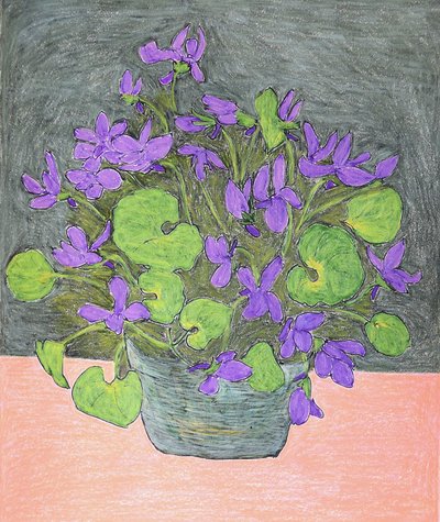 Violette viola in vaso da Viktoriia Saunina