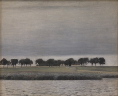 Studio preliminare per Solregn. Gentofte Sø da Vilhelm Hammershøi