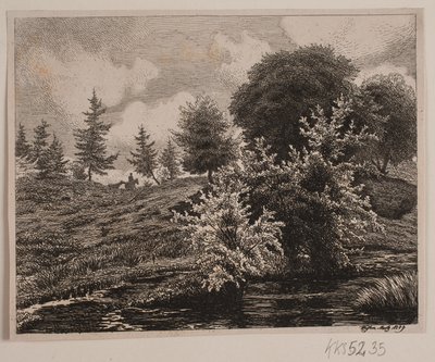 Colline presso una palude da Vilhelm Kyhn