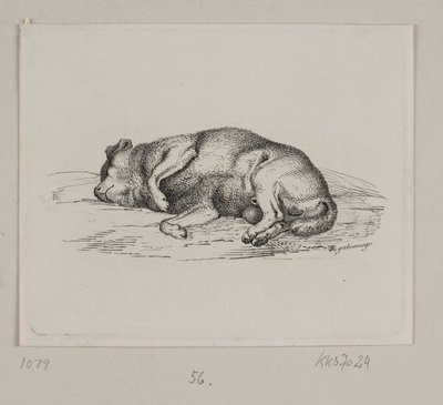 Un cane sdraiato da Vilhelm Kyhn