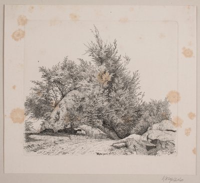 Un grande masso da Vilhelm Kyhn