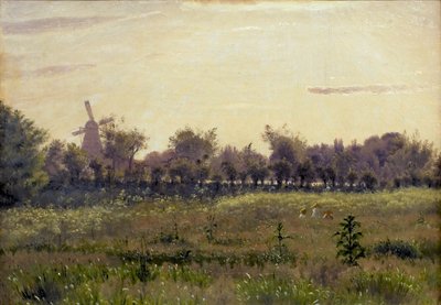 Il prato vicino alla casa dell