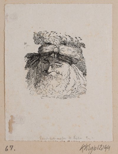Testa di un uomo con cappello di pelliccia da Vilhelm Kyhn