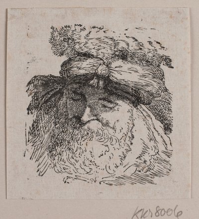 Testa di un uomo con cappello di pelliccia da Vilhelm Kyhn