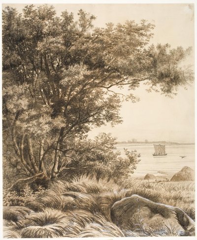 Paesaggio costiero con alberi alti. Motivo dal lago Esrum da Vilhelm Kyhn