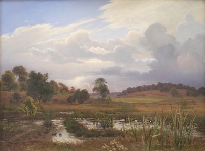 Paesaggio vicino alla Foresta Nordskoven, Jægerspris, Zealand da Vilhelm Kyhn