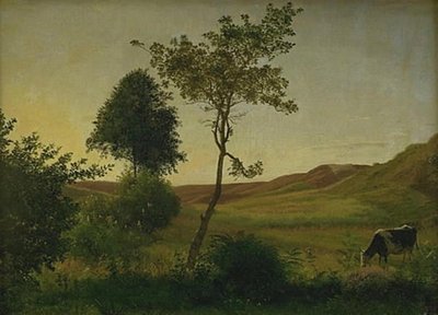 Paesaggio presso Hald verso sera da Vilhelm Kyhn