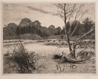 Tramonto in un bosco da Vilhelm Kyhn