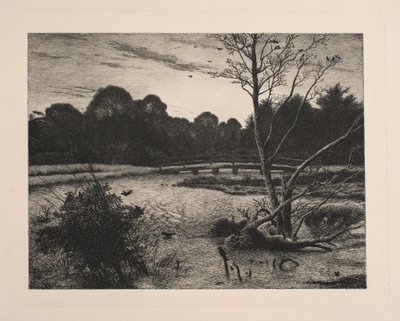 Tramonto in una foresta da Vilhelm Kyhn