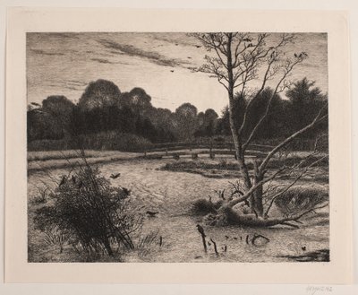 Tramonto in una foresta da Vilhelm Kyhn