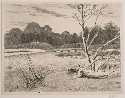 Tramonto in una foresta da Vilhelm Kyhn