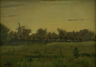 Il prato vicino alla casa dell