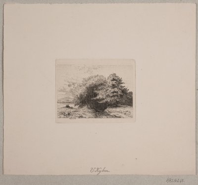 Margine di una foresta da Vilhelm Kyhn