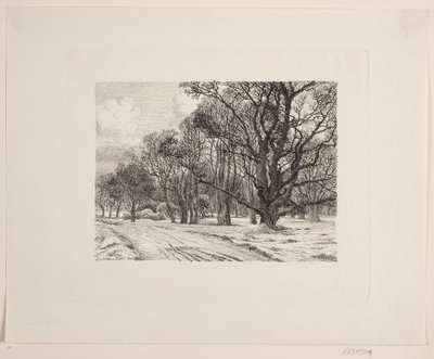 Inverno nel bosco da Vilhelm Kyhn