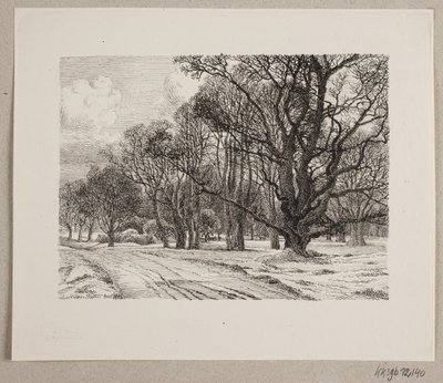 Inverno nella foresta da Vilhelm Kyhn