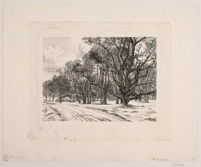 Inverno nella foresta da Vilhelm Kyhn