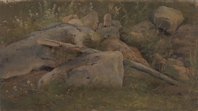 Studio di un mucchio di pietre da Vilhelm Petersen