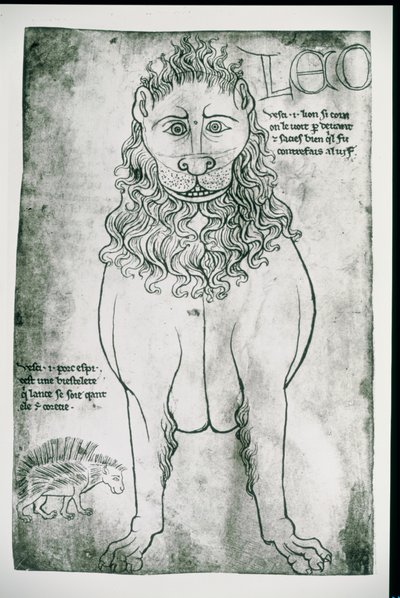 Leone e porcospino (facsimile) da Villard de Honnecourt