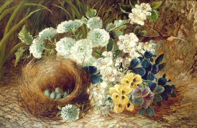 Natura morta di fiori e un nido di uccelli su una riva muschiosa da Vincent (after) Clare
