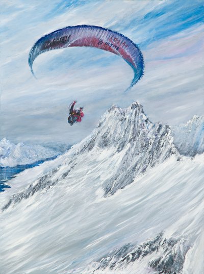 Volante antartico da Vincent Alexander Booth