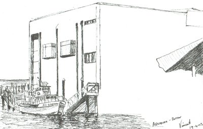 Acquario di Boston da Vincent Alexander Booth