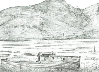 Barca sulla terraferma, Isola di Mull da Vincent Alexander Booth