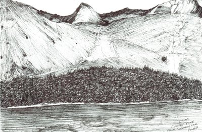 Causey Pike, 2005 da Vincent Alexander Booth