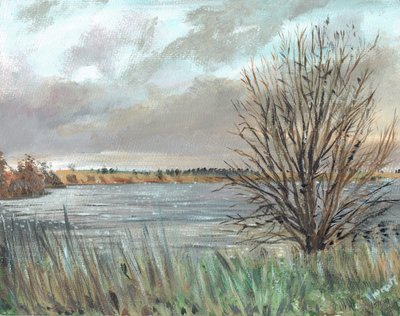 Fannyside Loch, 2009 da Vincent Alexander Booth