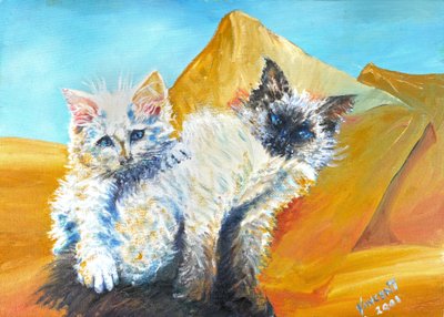 Gattini Monty e Baby, 2001 da Vincent Alexander Booth