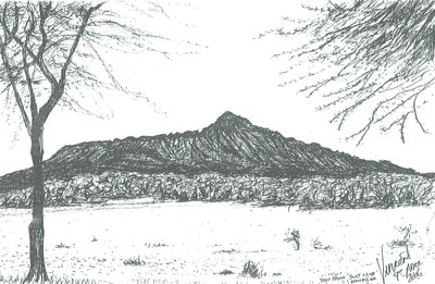 Montagna dal club nautico al lago Naivasha, Kenya, 2006 da Vincent Alexander Booth