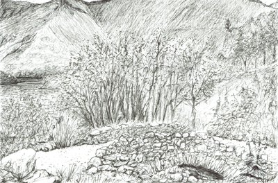 Vecchio ponte di pietra nel distretto dei laghi, 2005 da Vincent Alexander Booth
