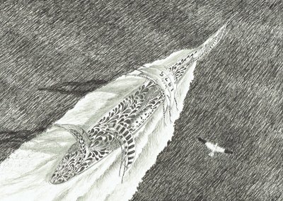 Creatori di Tempeste Capo Canaveral da Vincent Alexander Booth