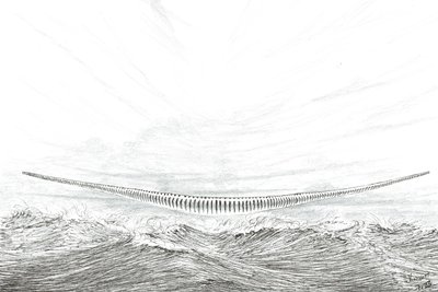 Creatori di Tempeste Cape Leveque da Vincent Alexander Booth