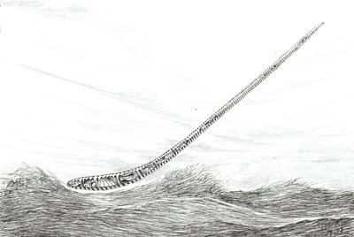 Storm Creators Lake Mweru, 2023 da Vincent Alexander Booth