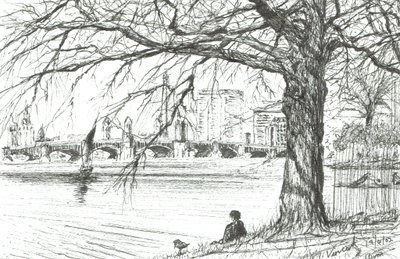 Il fiume Charles, Boston. 2003 da Vincent Alexander Booth