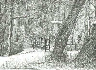 Il vecchio ponte di metallo, parco di Bramhall da Vincent Alexander Booth