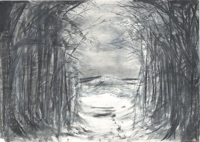 In cima alla corsia Osmotherley da Vincent Alexander Booth