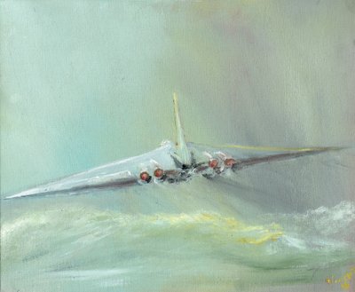 Sortita del Vulcan B1 da Vincent Alexander Booth