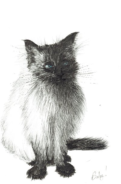 Bambino, 2004 da Vincent Alexander Booth